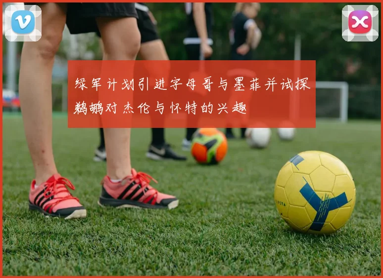 绿军计划引进字母哥与墨菲并试探鹈鹕对杰伦与怀特的兴趣