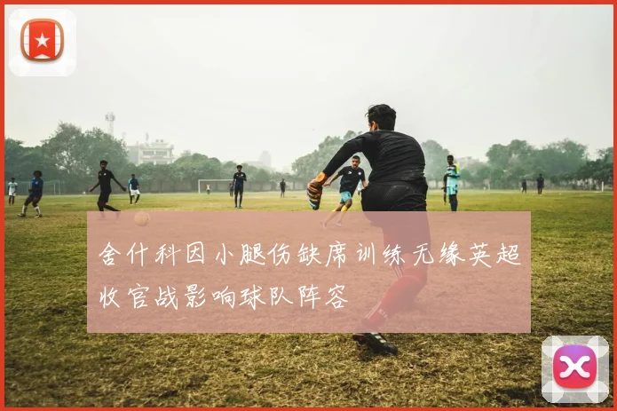 舍什科因小腿伤缺席训练无缘英超收官战影响球队阵容
